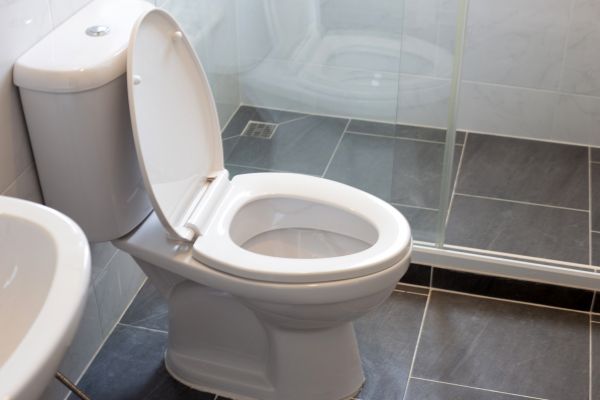 Toilet Replacement in Irvine